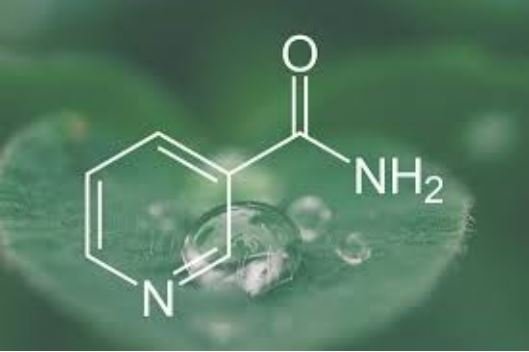 Lelah Mencoba Banyak Produk? Mengenal Niacinamide, Sahabat Lembut untuk Percantik Kulitmu.